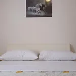 Διαμέρισμα Sanda Tribunj *