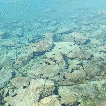 Sanda Tribunj Tribalj