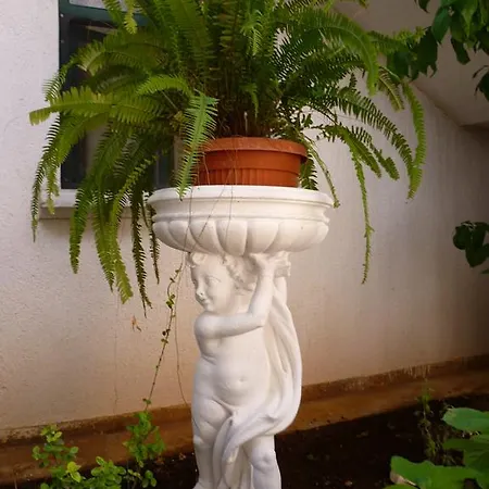 Sanda Tribunj Tribalj