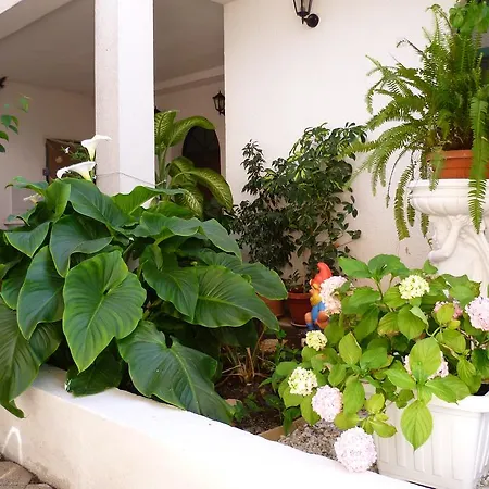 דירה Sanda Tribunj *