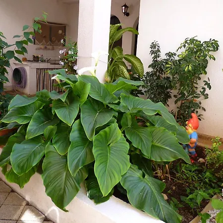 דירה Sanda Tribunj Tribalj