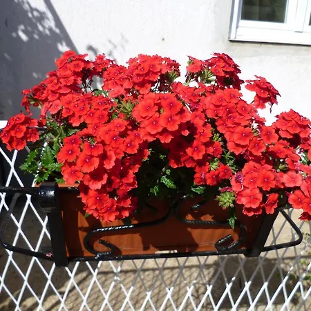 דירה Sanda Tribunj *