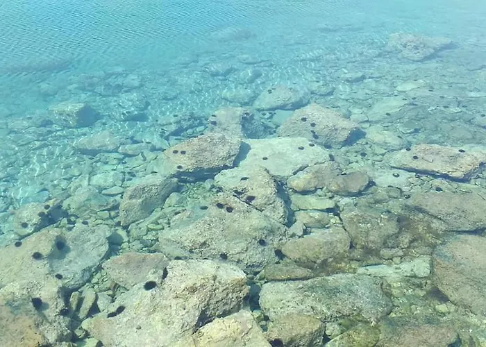 Sanda Tribunj Tribalj