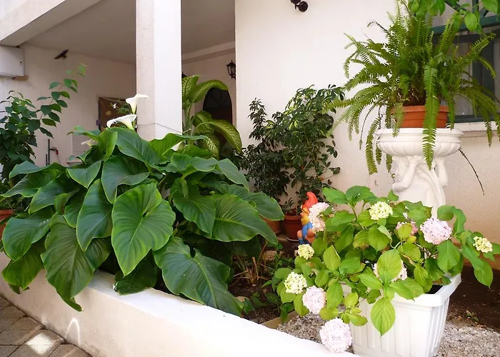 Daire Sanda Tribunj *