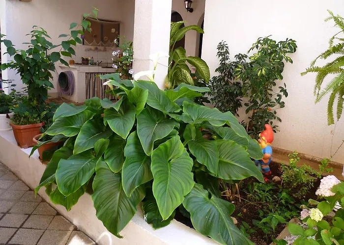 Apartament Sanda Tribunj Tribalj