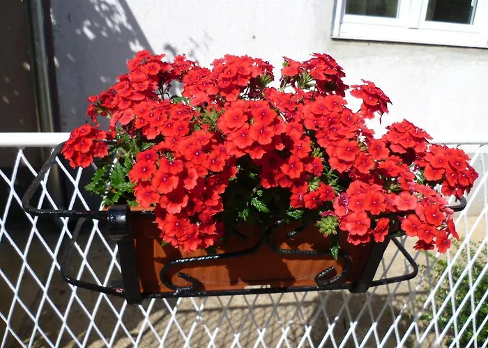 Apartament Sanda Tribunj *