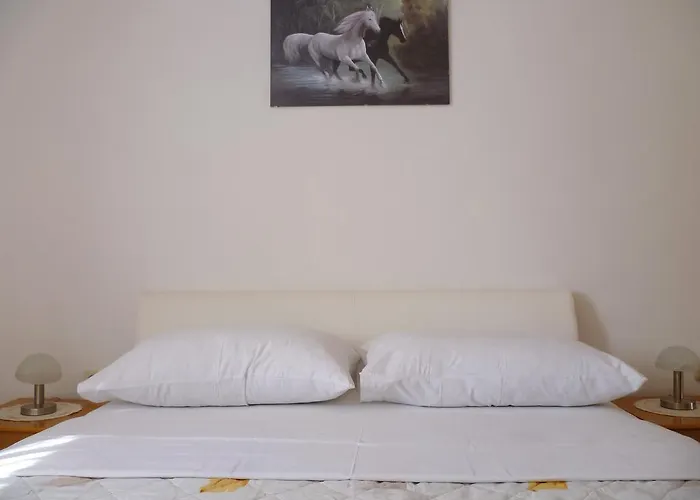 Apartament Sanda Tribunj *